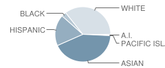 South Pasadena High School Student Race Distribution