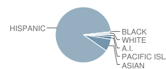 Martin Elementary School Student Race Distribution