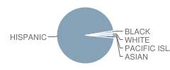 Richard L. Graves Middle School Student Race Distribution