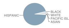 Carmela Elementary School Student Race Distribution