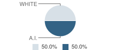 Ettersburg Elementary School Student Race Distribution