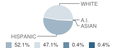 Saint Helena Elementary School Student Race Distribution