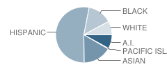 Harrison Elementary School Student Race Distribution