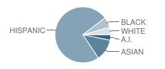 Hazelton Elementary School Student Race Distribution