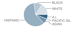 Victory Elementary School Student Race Distribution