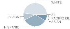Mitchell Community Elementary School Student Race Distribution