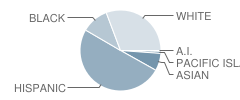 Valley View Elementary School Student Race Distribution