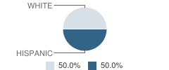 Mountain High School Student Race Distribution