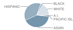 Ellis Elementary School Student Race Distribution