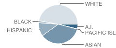 Nelson Avenue Middle School Student Race Distribution