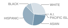 Edison Elementary School Student Race Distribution