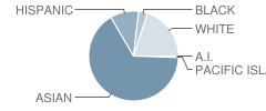 Hickory Elementary School Student Race Distribution