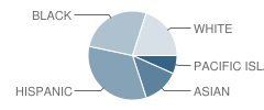 Travis Community Day School Student Race Distribution