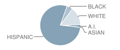 Wilson Elementary School Student Race Distribution