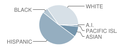 Barbara Benson Elementary School Student Race Distribution