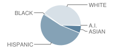 Loma Vista Elementary School Student Race Distribution