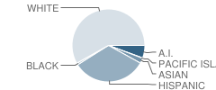 Ukiah High School Student Race Distribution