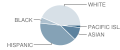 Lietz Elementary School Student Race Distribution