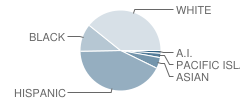 Eugene Padan Elementary School Student Race Distribution