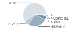 Vacaville High School Student Race Distribution