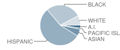 Beverly Hills Elementary School Student Race Distribution