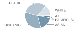 Hogan High School Student Race Distribution