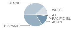 Vallejo Middle School Student Race Distribution