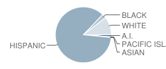 Goshen Elementary School Student Race Distribution