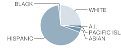 Union Elementary School Student Race Distribution