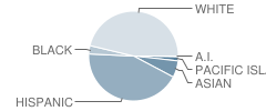 Madison Middle School Student Race Distribution