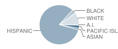 Alta Vista High (Continuation) School Student Race Distribution