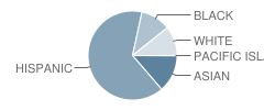 Washington High School Student Race Distribution