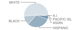 Quartz Hill Elementary School Student Race Distribution