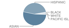 Meairs Elementary School Student Race Distribution