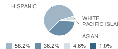 Schmitt Elementary School Student Race Distribution