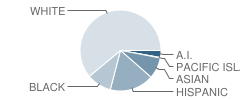 Lone Tree Elementary School Student Race Distribution