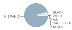 Pioneer High School Student Race Distribution