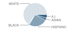 Willits High School Student Race Distribution