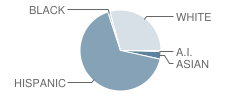 Shirley Rominger Intermediate School Student Race Distribution