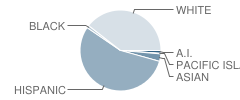 Gibson Elementary School Student Race Distribution