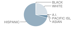 Rhoda Maxwell Elementary School Student Race Distribution