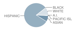 Woodland Prairie Elementary School Student Race Distribution