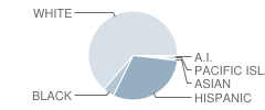 Green Valley High School Student Race Distribution