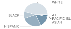 Creekside High School Student Race Distribution