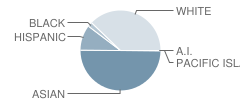 Oak Creek Elementary School Student Race Distribution