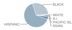 San Francisco County Alternative / Opportunity School Student Race Distribution