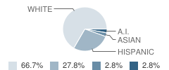 Don Pedro High School Student Race Distribution