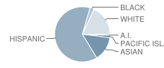 La Rosa Elementary School Student Race Distribution