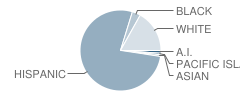 Orange Grove High School Student Race Distribution