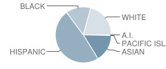 Eleanor Roosevelt High School Student Race Distribution